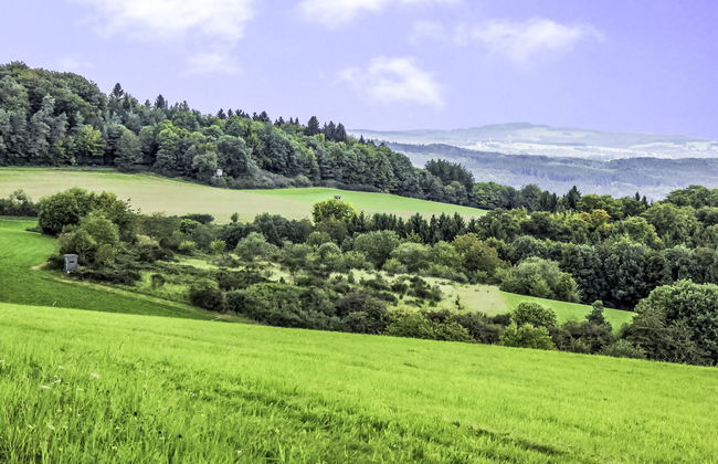 1 bedroom Apartment in Fuchshofen with garden - Photo 28