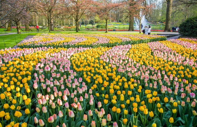 Entradas para Keukenhof - Photo 8