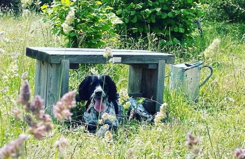 The Cow Shed - Rural Barn Conversion with Hot Tub - Foto 42