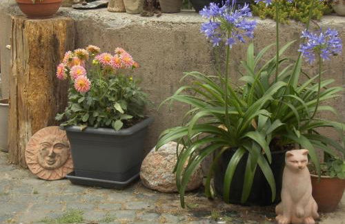 Gästezimmer Mittelgasse - Foto 19