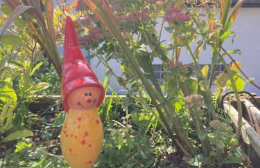 Terrassenwohnung - Foto 8