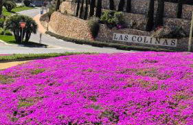 Las Colinas Golf - Foto 4