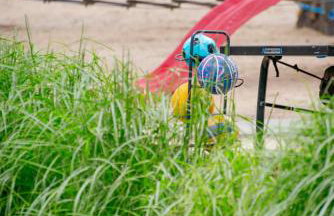 Campus Karolina BRENNO - Foto 79