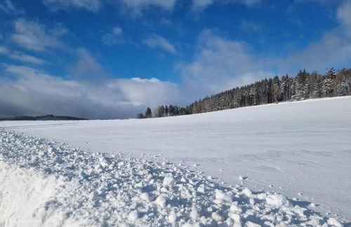 PURE! Willingen - Modern - Natürlich - Pur - Foto 28