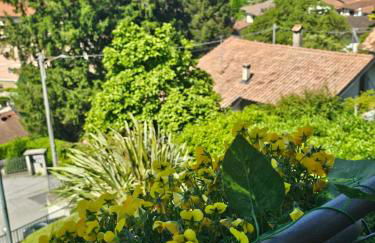 Luna Serena - Foto 23