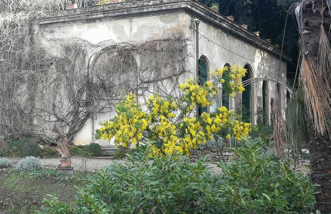 Villa Rucellai - Foto 53