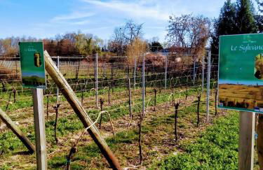 Alsace Appartements Meyer-Krumb - Foto 20