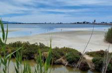 Trilocale Margine Rosso - Foto 48