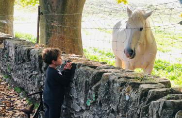 La maison du Château - Foto 27