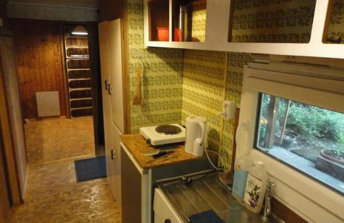 Ponderosa-Hütte im Wald - Foto 5