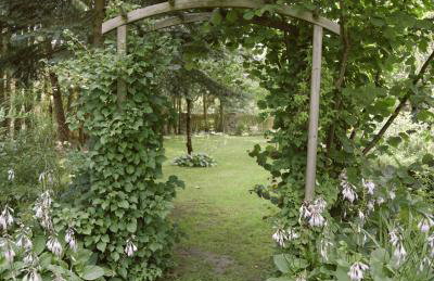 Przystanek Zielnik - Foto 28