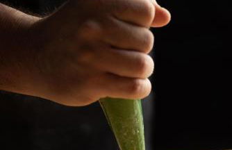 Locanda dei Logi - Foto 87