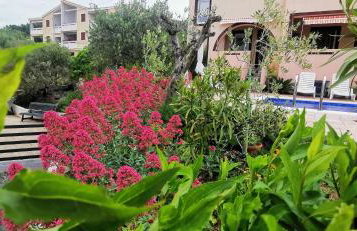 Apartman Franolic Punat - Foto 71