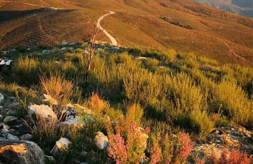 Quinta do Ragal - Photo 51