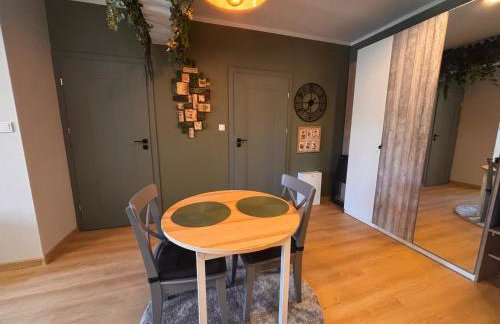 Oliwkowy - stylowy Apartament w naturalnym klimacie - Photo 52