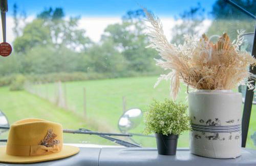 American School Bus Retreat with Hot Tub in Sussex Meadow - Foto 17