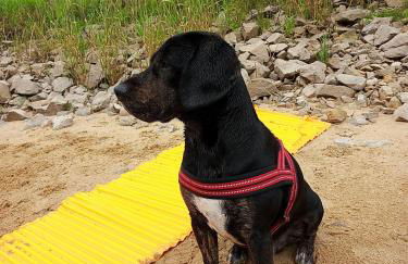 Turmblick Gästequartier Coswig: Hier erwartet Sie individueller Service im Herzen der Altstadt. - Foto 29