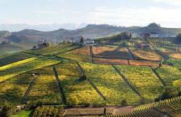 Casa Nalin - Photo 23