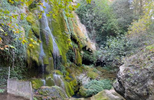 Majordoms - Cal Sabater - Foto 79