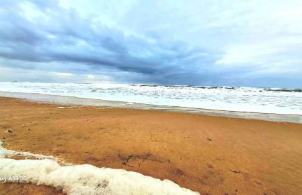 Les Bord'Océanes Sauna & Spa Villa Marensine et Villa Oyat - Foto 79