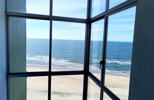 Cavalos de Ofir - Photo 19