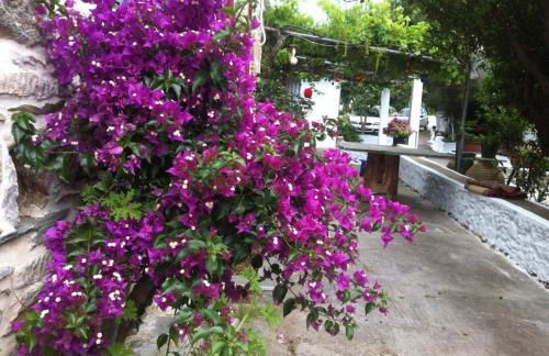 Πέτροκτιστο Σπίτι. Stone House - Foto 7