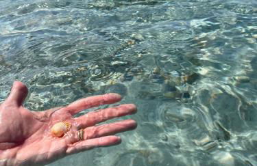 La Conchiglia sul Mare - Foto 15