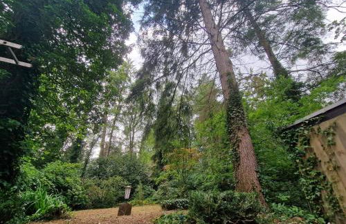 Ferienhaus Thymian in Hatten bei Oldenburg - Idyllische Waldlage - Foto 52