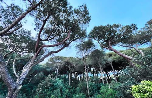 Casa duna sulla spiaggia - Foto 11