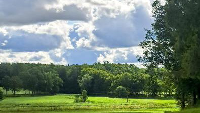 Mały Domek - Foto 2