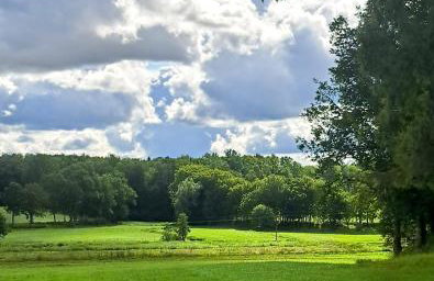 Mały Domek - Foto 2