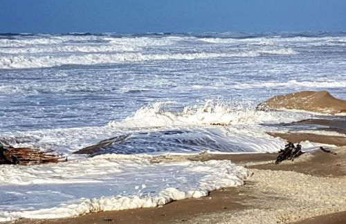 LES VAGUES, terrasse rez-de-ch, parking gratuit, lits faits, animal bienvenu et tout à pied - Foto 27