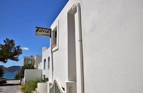 Ostria Studios - Foto 74