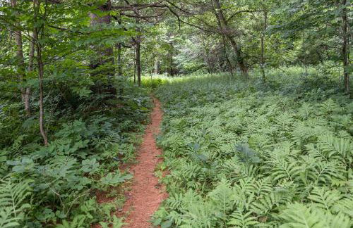 Johnson Dome - Foto 9