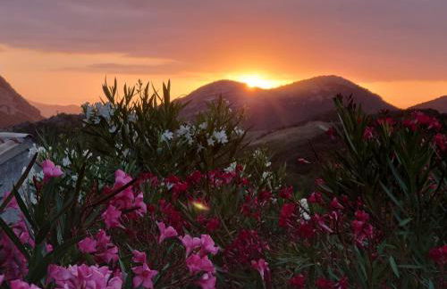 Appartement Piovanacce - T3 avec pisicne privée 10min de Saint-Florent - Foto 20