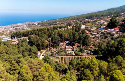 Home2Book Icod Rural Escape Pool BBQ - Foto 49