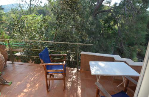 Villa Sofia - Photo 39