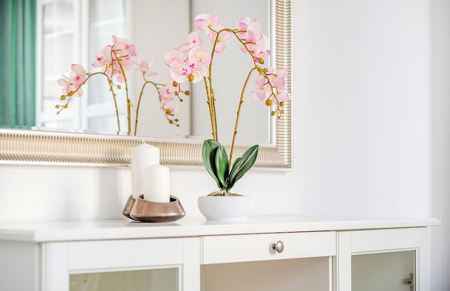 EASY RENT Apartments- OLD TOWN - Foto 16