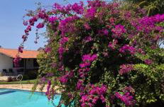 Ilha da Crôa - Barra Sto Antônio - Alagoas - Esquina Praia - Photo 11