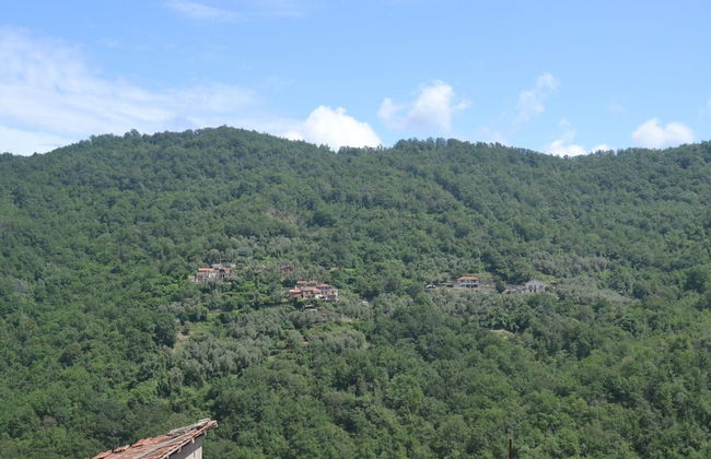 Nature Retreat in Testico - Foto 40