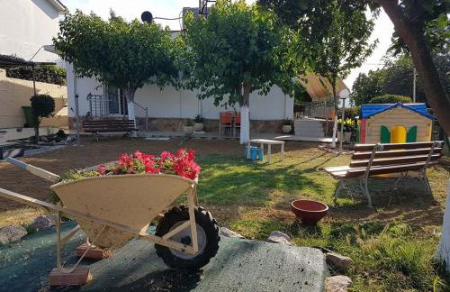 Mamanis Studios - Foto 36