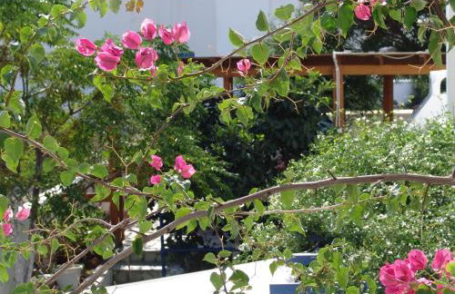 Villa Nefeli - Foto 23