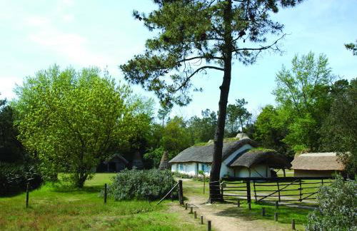 Mobil home domaine avec piscine proche mer - Foto 15