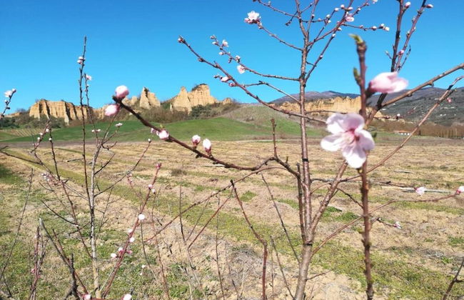 Rustic Tuscan Farmhouse - Foto 34