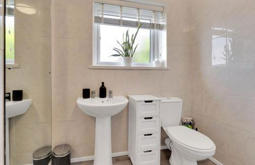 The Squirrels - Foto 30