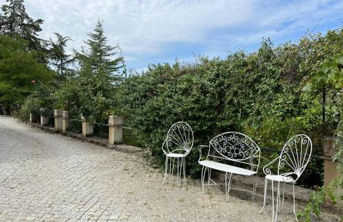 Quinta Santo Antonio do Rio - Foto 28