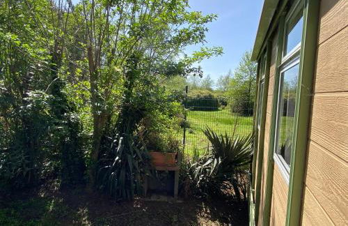 Beach house à Marina di Sorbo …Corse - Foto 31