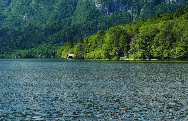 Balmy Apartment in Bohinjsko Jezero near Lake - Foto 24
