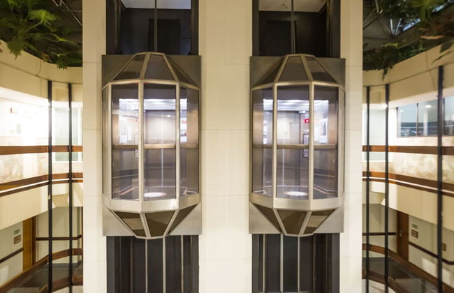 SLAVIERO Londrina - Foto 37