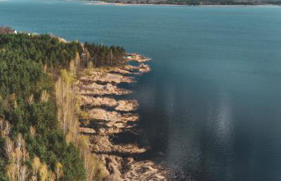 Miło las widzieć - Foto 57